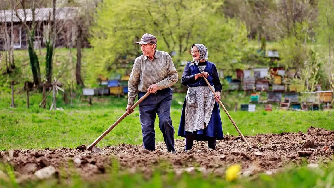 Când ieși la pensie? Calendarul schimbărilor pentru femei până în 2035
